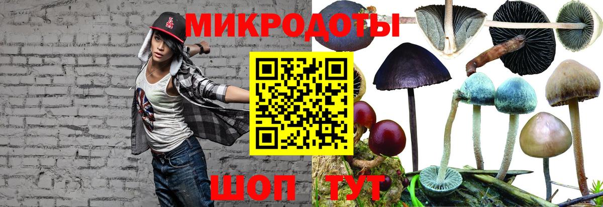 Сергиев Посад  Псилоцибиновые грибы Psilocybe  где купить наркоту  Вход с VPN 