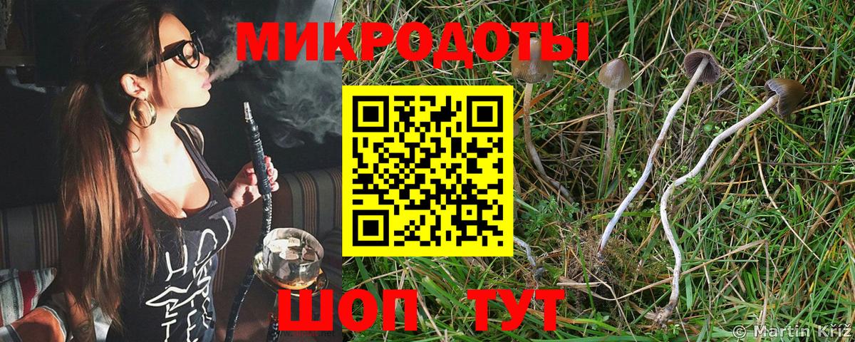Псилоцибиновые грибы ЛСД Сергиев Посад